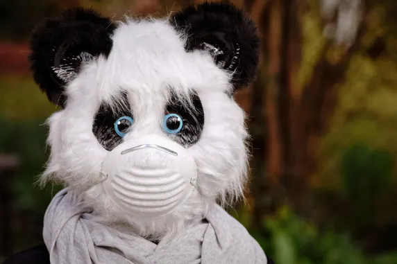 BigAzart Kaszinó Támogatás